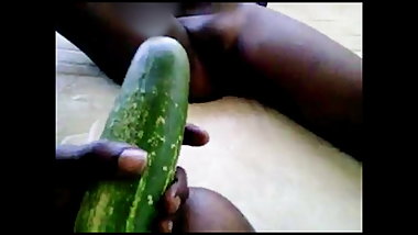 lost cucumber